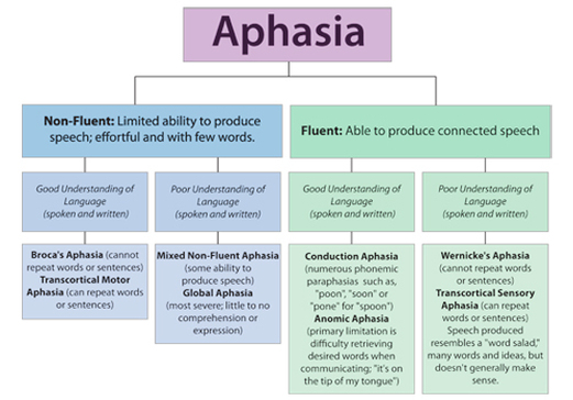about-aphasia-aphasia